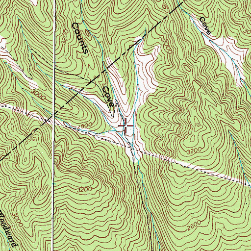 Topographic Map of Counts Cove, VA