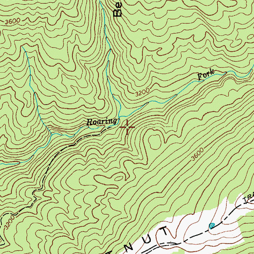 Topographic Map of Cove Branch, VA