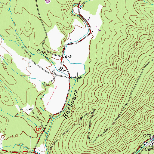 Topographic Map of Cove Branch, VA
