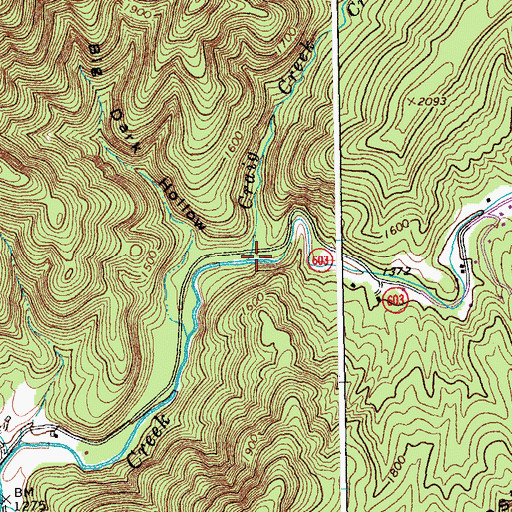 Topographic Map of Craig Creek, VA
