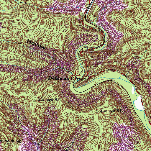 Topographic Map of Craiger Hollow, VA