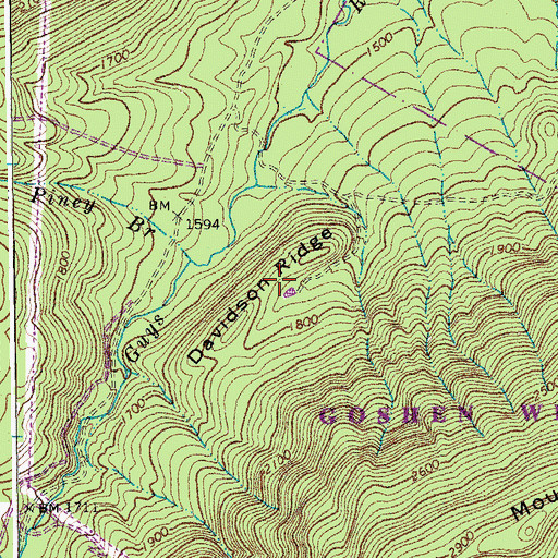 Topographic Map of Davidson Ridge, VA