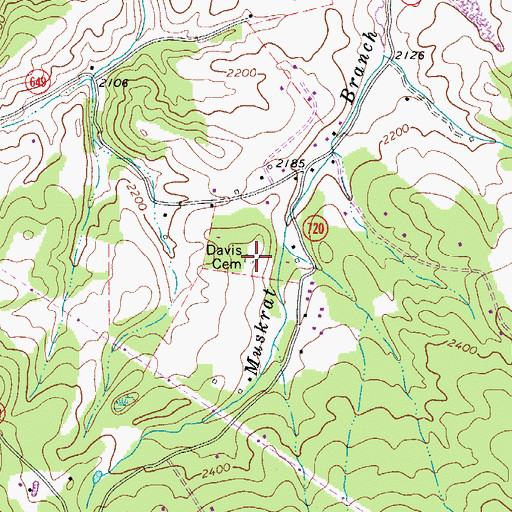 Topographic Map of Davis Cemetery, VA