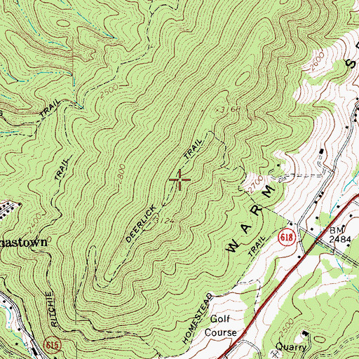 Topographic Map of Deerlick Trail, VA