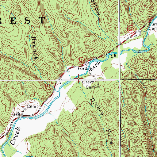 Topographic Map of Dickey Farm Branch, VA