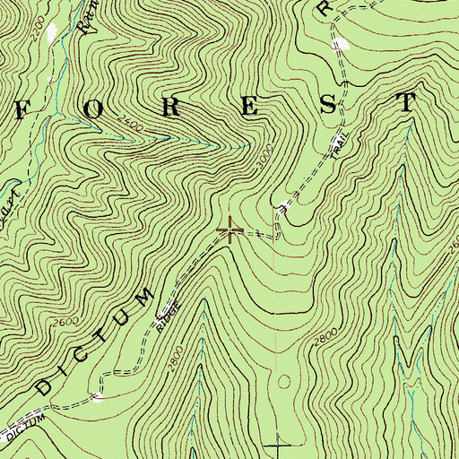 Topographic Map of Dictum Ridge, VA