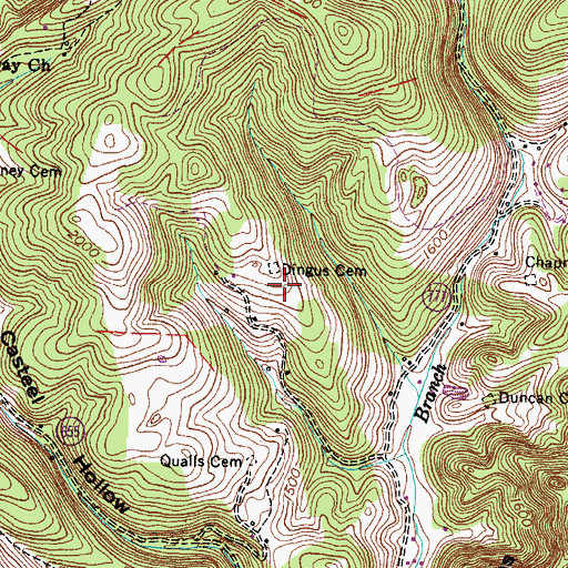 Topographic Map of Dingus Cemetery, VA