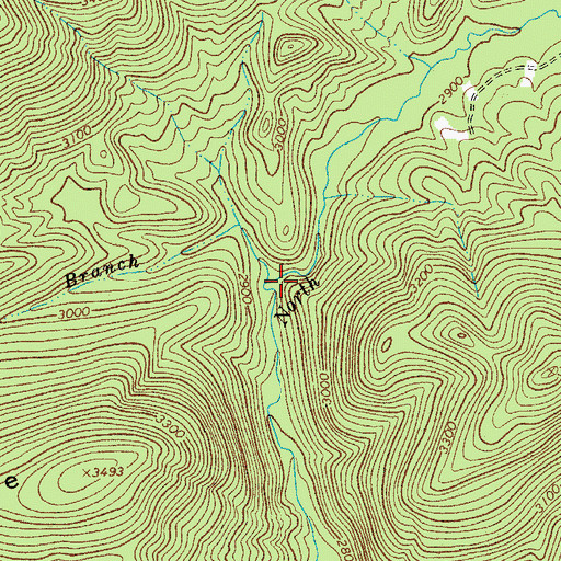 Topographic Map of Dixon Branch, VA