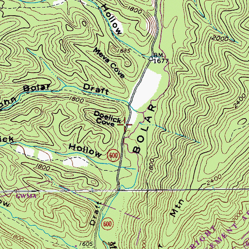 Topographic Map of Doelick Cove, VA