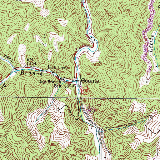 Topographic Map of Dog Branch, VA