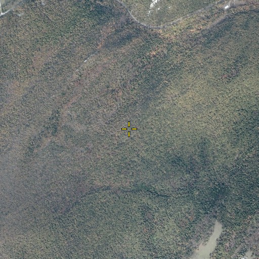 Aerial/Satellite Image of Dog Cliff, VA