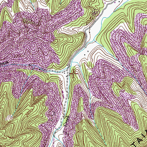 Topographic Map of Donald Branch, VA