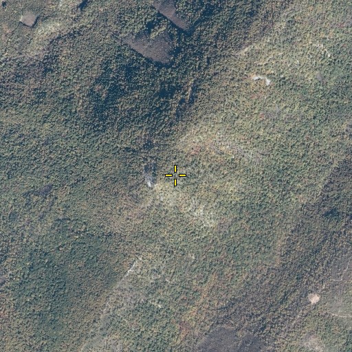 Aerial/Satellite Image of Duncan Knob, VA