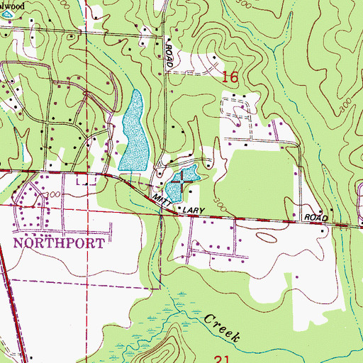 Topographic Map of Lary Lake, AL