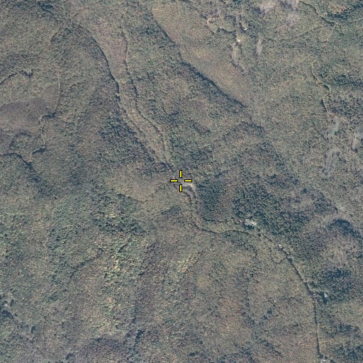 Aerial/Satellite Image of Edith Gap, VA