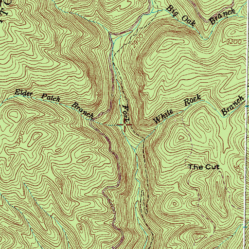 Topographic Map of Elder Patch Branch, VA