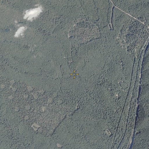 Aerial/Satellite Image of Fall Branch, VA