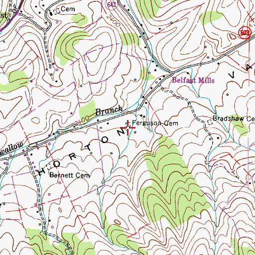 Topographic Map of Ferguson Cemetery, VA