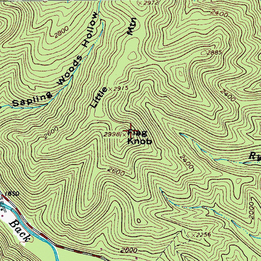 Topographic Map of Flagg Knob, VA