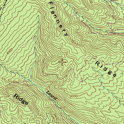Topographic Map of Flannery Ridge, VA