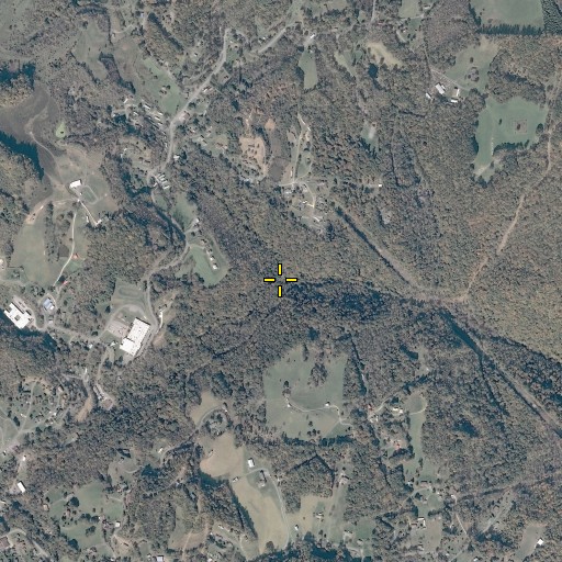 Aerial/Satellite Image of Fleming Branch, VA