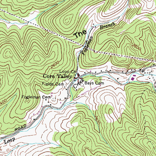 Topographic Map of Fogleman Branch, VA