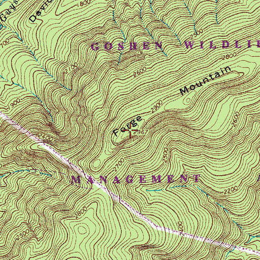 Topographic Map of Forge Mountain, VA