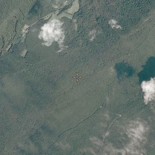 Aerial/Satellite Image of Fork Mountain, VA