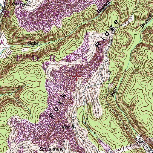 Topographic Map of Fork Ridge, VA