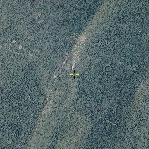 Aerial/Satellite Image of Fridley Gap, VA