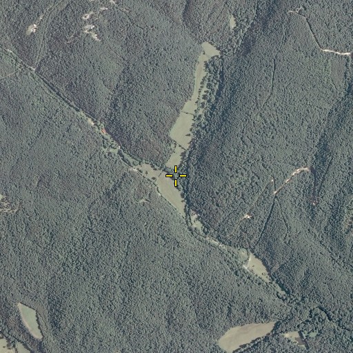 Aerial/Satellite Image of Furnace Run, VA