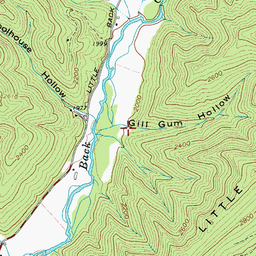 Topographic Map of Gill Gum Hollow, VA