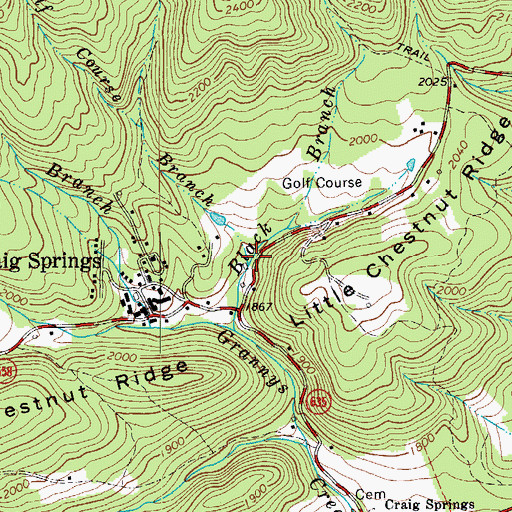 Topographic Map of Golf Course Branch, VA
