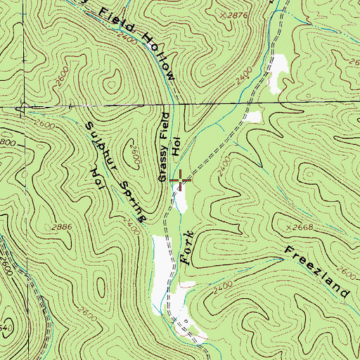 Topographic Map of Grassy Field Hollow, VA