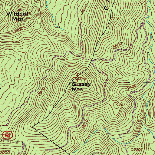Topographic Map of Grassy Mountain, VA