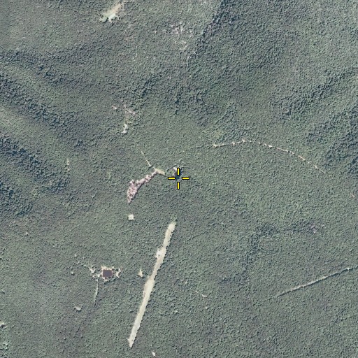 Aerial/Satellite Image of Hall Spring, VA