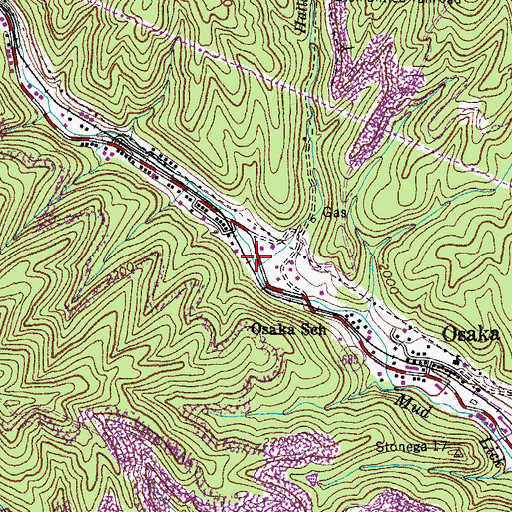 Topographic Map of Halls Branch, VA