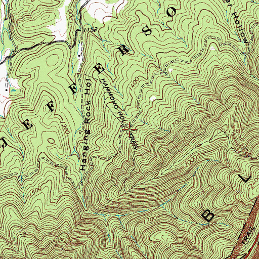 Topographic Map of Hammond Hollow Trail, VA
