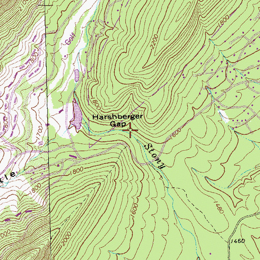 Topographic Map of Harshberger Gap, VA