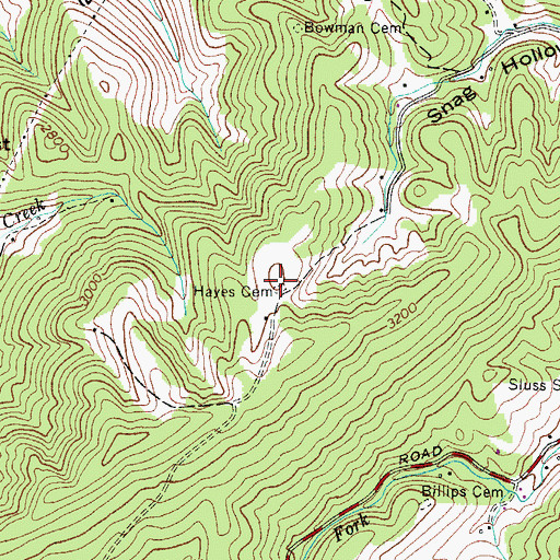 Topographic Map of Hayes Cemetery, VA