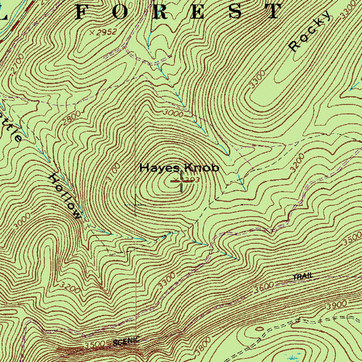 Topographic Map of Hayes Knob, VA