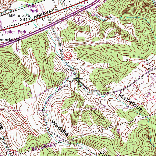 Topographic Map of Hazelnut Hollow, VA