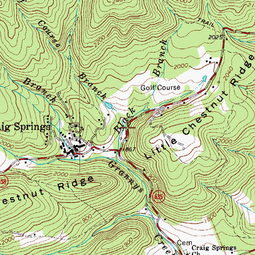 Topographic Map of Healing Branch, VA