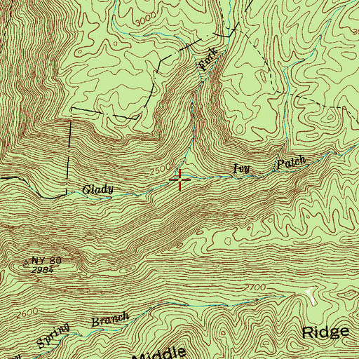 Topographic Map of Ivy Patch Branch, VA