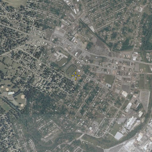 Aerial/Satellite Image of Jackson School, VA