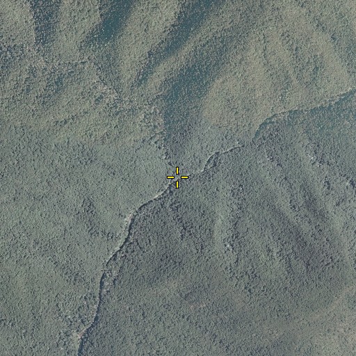 Aerial/Satellite Image of Jerrys Run, VA