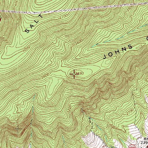 Topographic Map of Johns Creek Mountain, VA