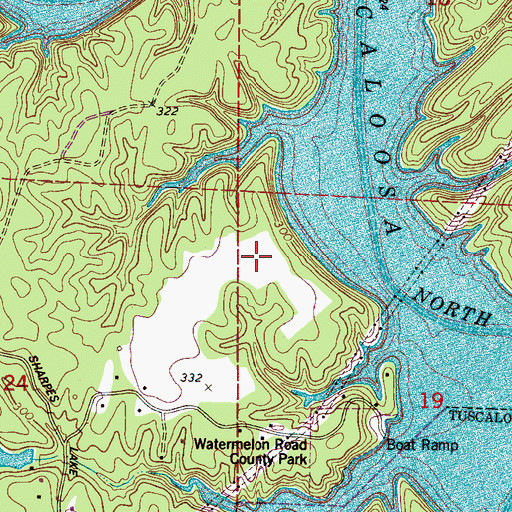 Topographic Map of Piney Grove Mine, AL