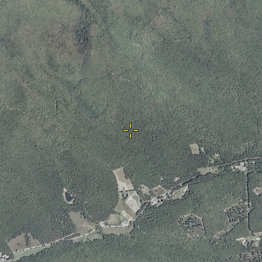 Aerial/Satellite Image of Kale Branch, VA
