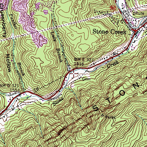 Topographic Map of Lady Branch, VA